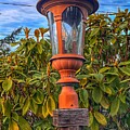 Vickys Lantern